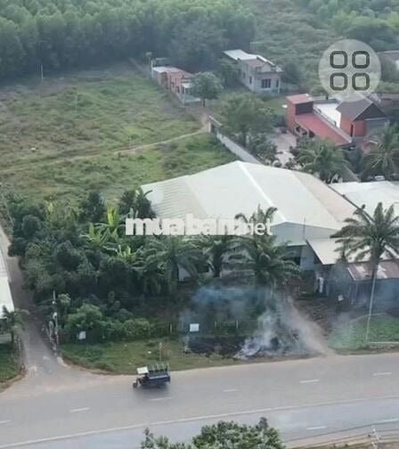 BÁN ĐẤT VỊ TRÍ VÀNG QL1A DO ĐI ĐỊNH CƯ NƯỚC NGOÀI