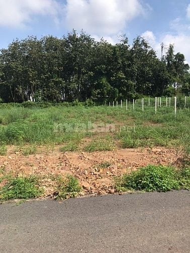 Bán đất đối diện chợ An Linh Phú Giáo 