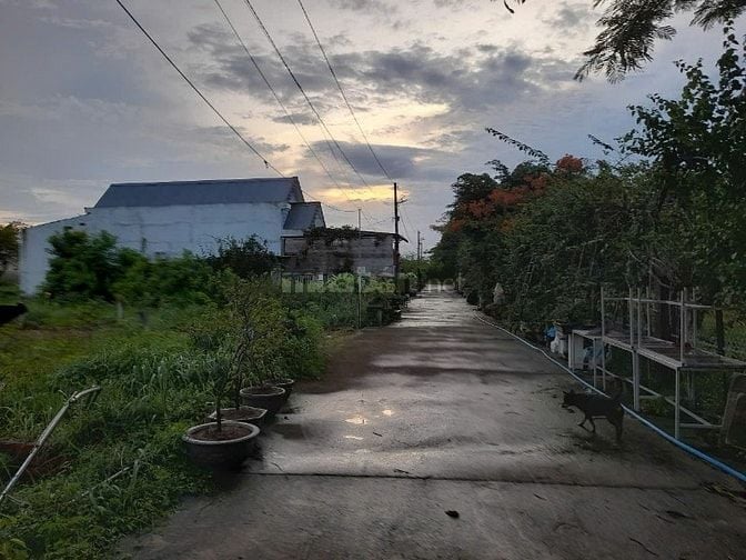Bán đất Gia Cát 1 tại xã Long Tân cũ (nay là xã Đất Đỏ, TP.HCM)