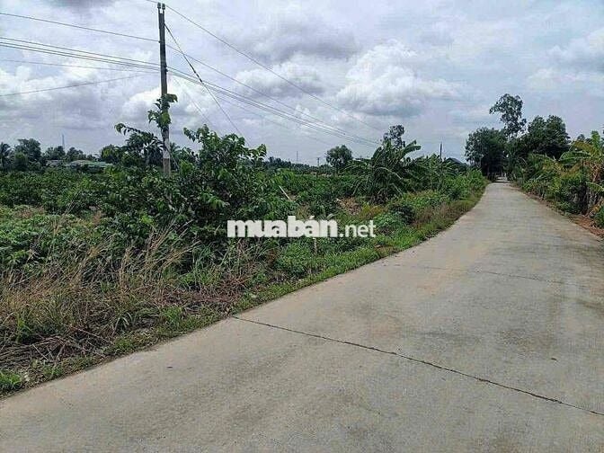 7190m Đất Vườn MT Đan Liên Ấp 5-6 Xã Bình Đức