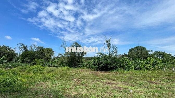 Cơ Hội Đầu Tư Vàng Đất Rẻ Thổ Cư Ven Suối Giáp SB Long Thành Chỉ 17km