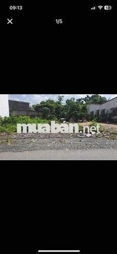 BÁN ĐẤT:  1/ QL22 Tân An Hội Mới - Sau lưng trường Tiểu học Phước Hiep