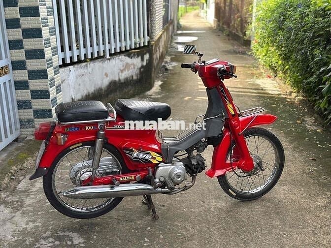 Cub82