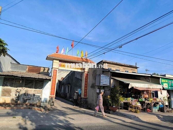cần bán gấp đất mặt tiền cây mắm long cang