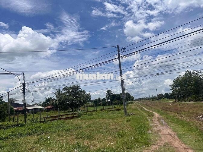 Cần tiền nên ra gấp lô đất mặt tiền xã Phan, Dương Minh Châu với tổng