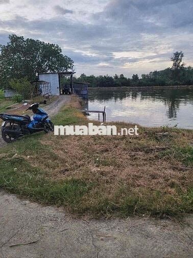 🌿 CẦN BÁN ĐẤT NÔNG NGHIỆP XÃ NHƠN ĐỨC – HUYỆN NHÀ BÈ 🌿