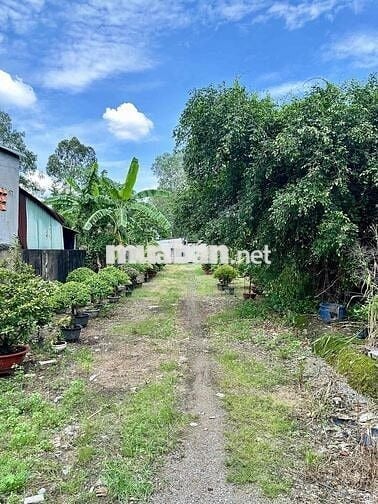 Cho thuê đất trống từ 1.000m2 kinh doanh mọi ngành nghề Linh Xuân TĐ