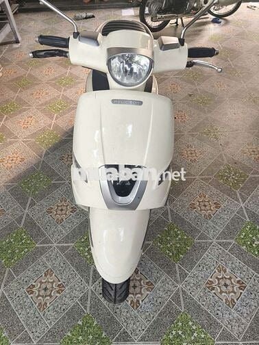 Xe peugeot django