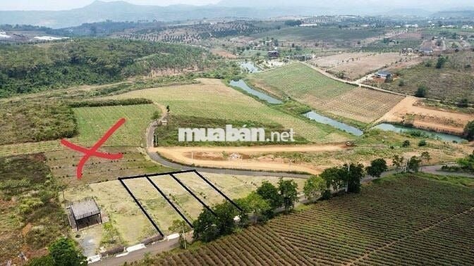 Đất nền nghỉ dưỡng Bảo Lộc – giá *** khu vực chỉ 6  triệu/m²