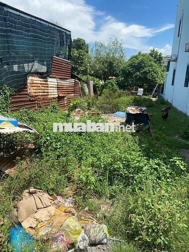 BÁN ĐẤT 122M2, 700TR, TÂN THẠNH ĐÔNG NHANH TRONG THÁNG