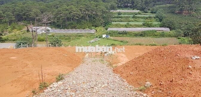 Bán đất mặt tiền DT27C Đạ Sar – 6600m² – 40 tỷ TL