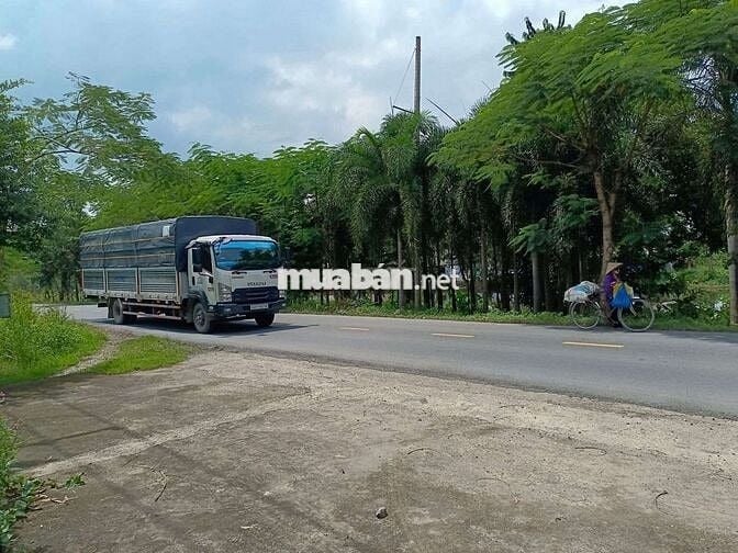 Xưởng Chánh Phú Hoà, 600m, đường nhựa, giá 15 triệu/tháng