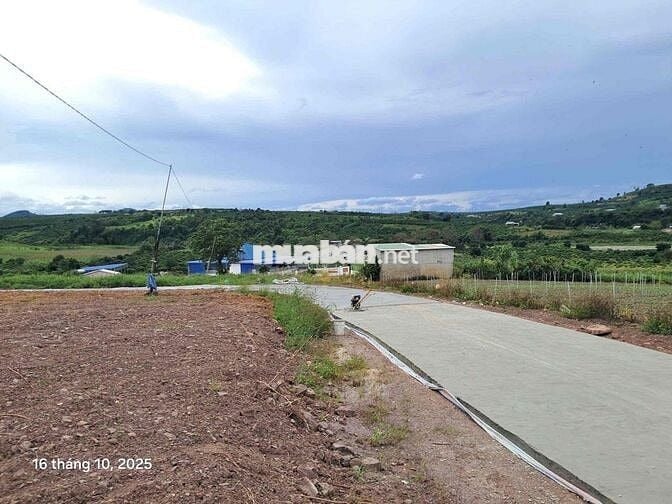 🌤 CHỈ 630 TRIỆU SỞ HỮU NGAY 1000M² ĐẤT VIEW ĐỒI NÚI 360° TẠI TÂN HÀ –