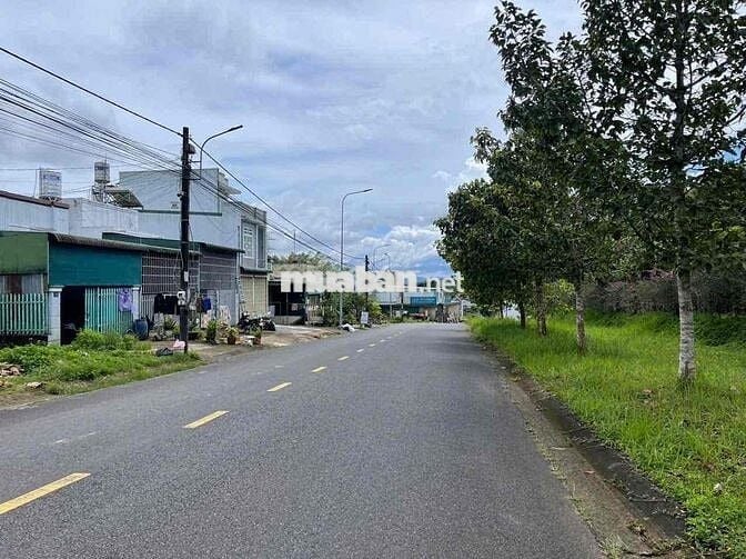 Mặt tiền Nguyễn Tuân - Bảo Lộc ngay đại học Tôn Đức Thắng Full thổ cư