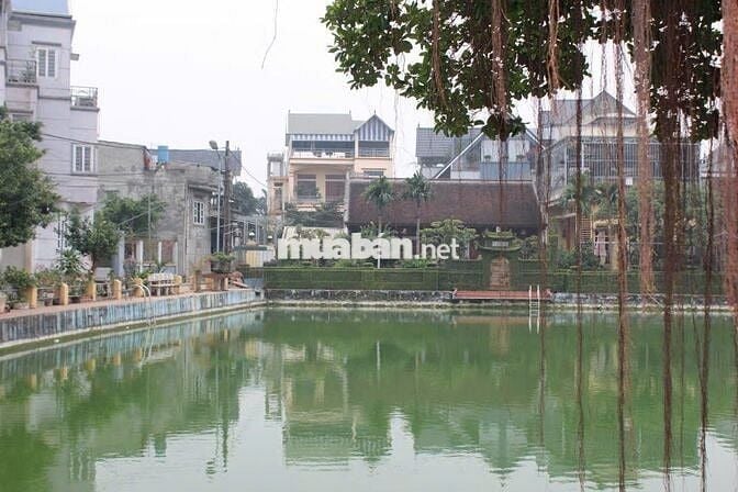 🏡CHÍNH CHỦ BÁN ĐẤT TRƯỜNG YÊN, CHƯƠNG MỸ- 130M- LÔ GÓC- ÔTÔ ĐỖ – 5.X 🔥