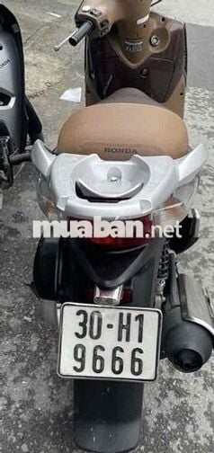 Sh 150i nâu Caffe biển tam hoa