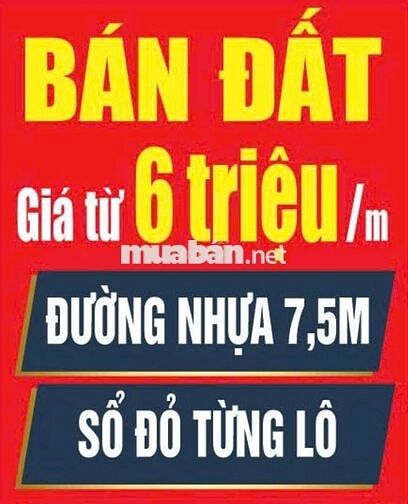 💥 CHỈ TỪ 800tr SỞ HỮU LÔ ĐẤT Đ7,5M GẦN QUỐC LỘ1A - THĂNG BÌNH