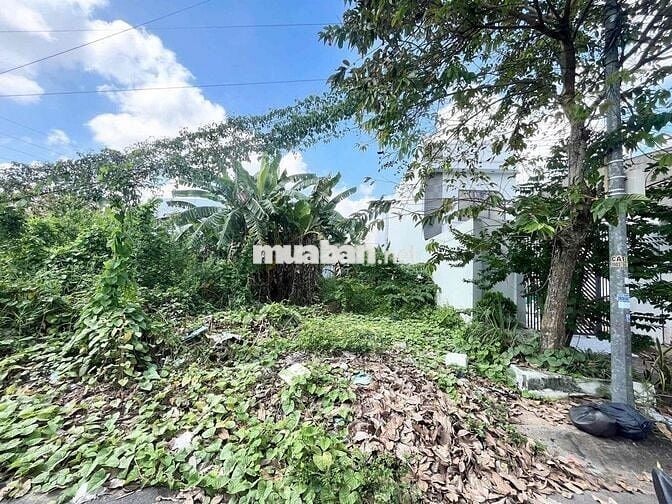 Đất thổ cư 81m2 sổ hồng Khu Phú An, Cần Thơ, Đông Bắc, Hưng Phú