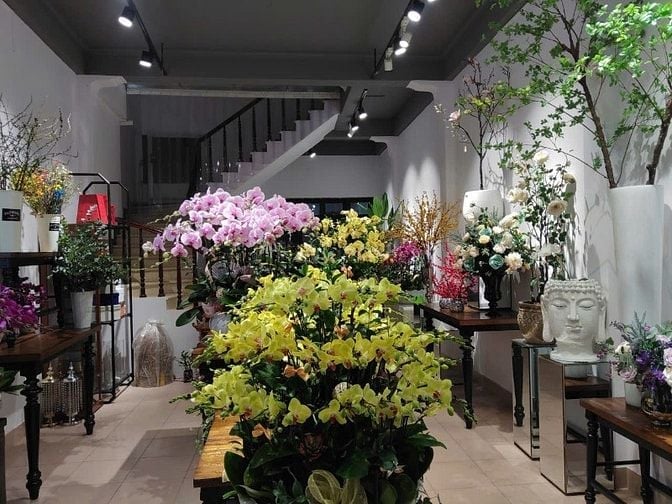 Cho thuê cửa hàng, MBKD, VP phố Nguyễn Khuyến, Văn miếu