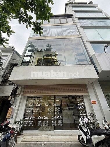 CHO THUÊ NHÀ NGANG 7m ĐƯỜNG SƯ VẠN HẠNH VỊ TRÍ VÀNG KINH DOANH F&B