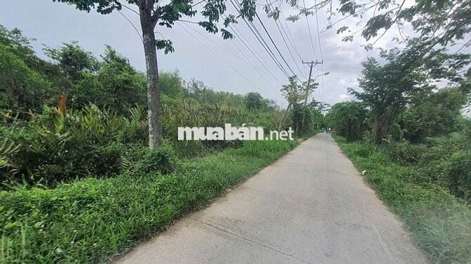 Bán 960m2 đất thổ cư mặt tiền đường Liên Ấp 2-3, Hiệp Phước, Nhà Bè