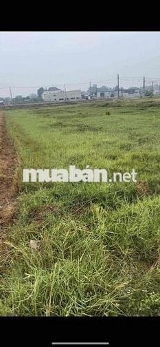 Bán đất lền hẻm thông 4m đường 823D Đức Hoà Đông - Đức Hoà - Long An