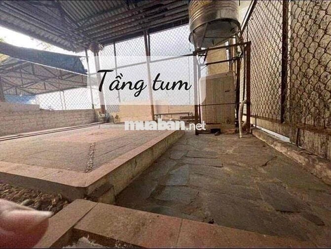 Nhà chính chủ cho thuê số 28 ngõ 357 Bạch Mai
