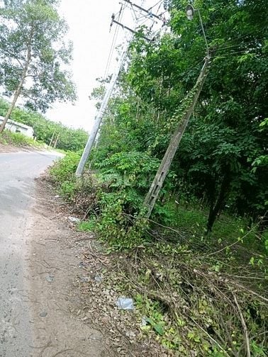 bán đất trồng cây lâu năm, xây nhà để ở, đất cao ráo, bằng phẳng
