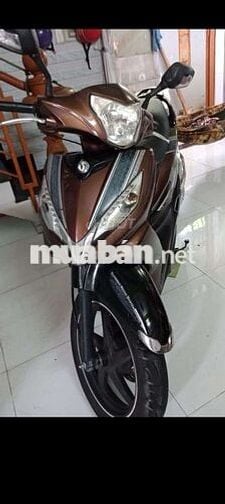 Bán Shark Fi phiên bản 2 thắng đĩa