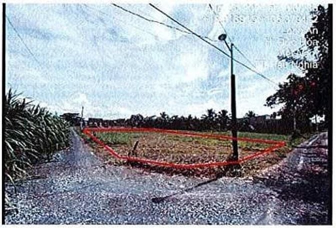 Bán ĐGTS đất tại xã Hậu Nghĩa, tỉnh Tây Ninh