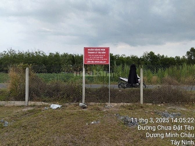 CTY ĐẤU GIÁ HỢP DANH TRỰC TUYẾN VIỆT NAM (VNOA) TỔ CHỨC ĐẤU GIÁ