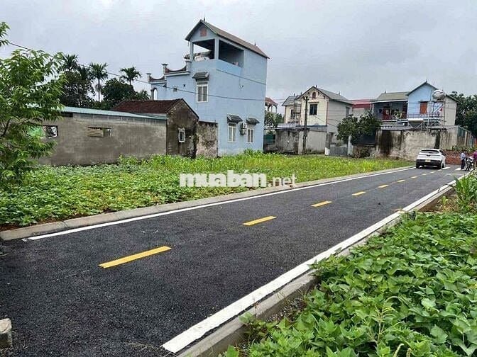 chính chủ e bán lô đất 100m full thổ cư tại phú cát hà nội
