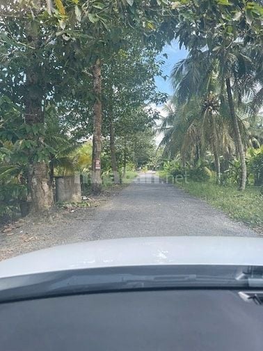 ĐẤT VƯỜN DỪA 1500 M2 ĐANG THU HOẠCH (CÓ 200 M2 THỎ CƯ), LỘ  NHỰA 5T  
