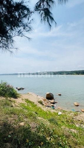 Bán nhanh lô đất view biển giá rẻ Bình Thuận