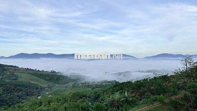 Aman Cloud - Chạm vào mây, Sống trọn an nhiên giữa cộng đồng tử tế