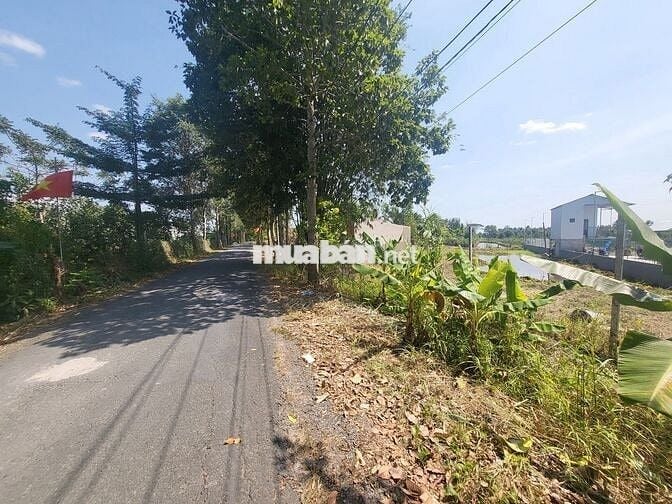 Còn 01 nền DT lớn 170m2 ĐÔNG PHÚ – CẦN THƠ GIÁ CHỈ 1/2 CỦA KHU DÂN CƯ!