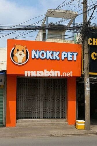 NHÀ MẶT TIỀN RẺ PHAN  HUY ÍCH P15 TÂN BÌNH SÁT GÒ VẤP
