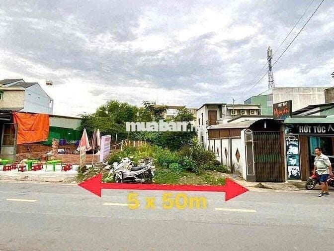 Cần bán nhanh miếng đất thổ cư này 250m2 giá 650tr SHR