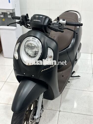 Scoopy Smarkey 2023