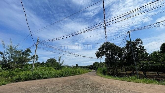 Đất ngộp giá rẻ thổ cư ven suối gần KCN, sát SB Long Thành chỉ 17km