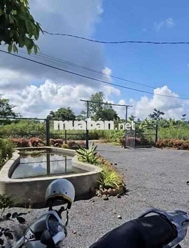 Bán gần 900m2 đất vườn sẵn 100m2 thổ cư,nhà cấp 4 ,tiếp giáp suối bên