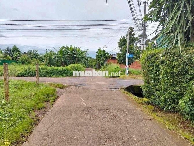 Phường Tân An  hẻm cấp1 Quốc Lộ 26