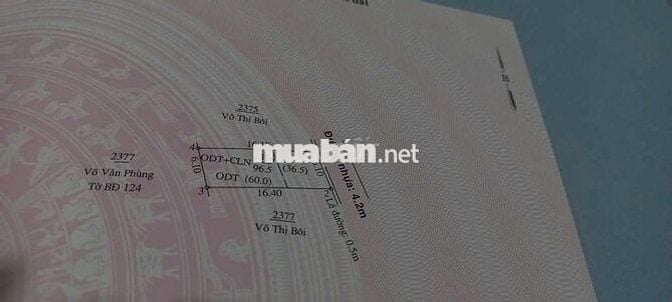 Đất Tân An, gần quán Hai Nù, DX132