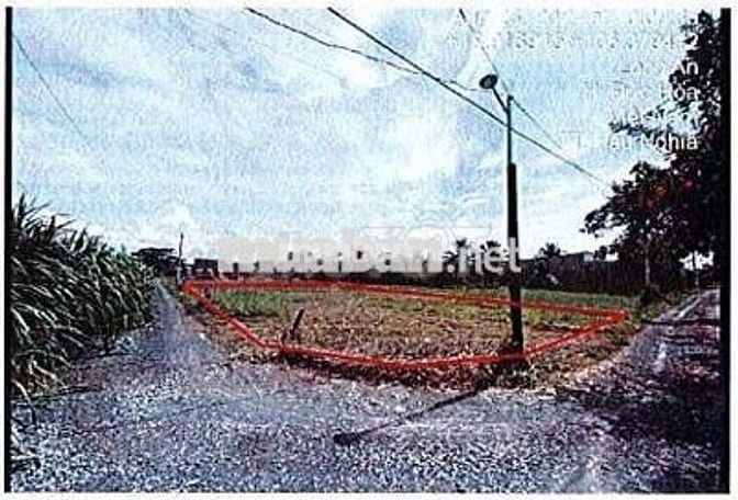Bán ĐGTS đất tại xã Hậu Nghĩa, tỉnh Tây Ninh