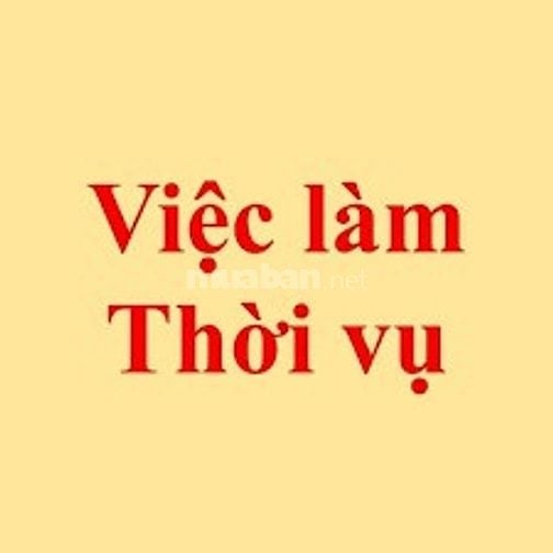 TUYỂN NAM THỜI VỤ - TRẢ LƯƠNG 350K/NGÀY