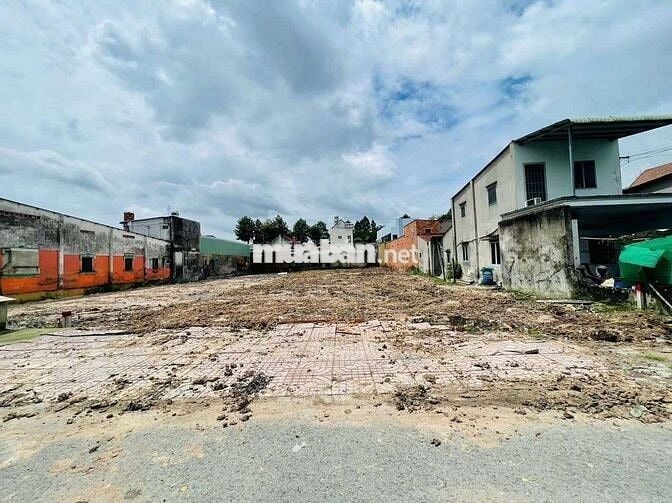 Mặt tiền đường nhựa 10x27=227m2, xã Tân An Hội, Chủ Chi, SHR, 1 tỷ 3