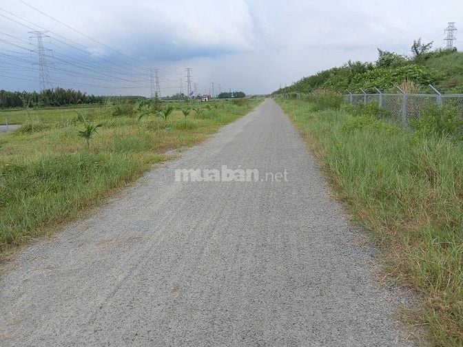 Chính chủ cần bán 376m2 đất lúa mặt tiền 48m tại Nhơn Trạch, Đồng Nai.