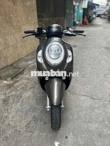 Scoopy 2023 Vàng Cát ( Nhập indo ) BSTP 9C