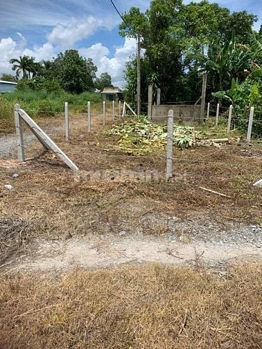 116m2 có thổ cư, gần chợ Phước Thạnh. Hơn 200tr. Tin nổi không 