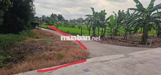CỤC THỔ NỀN CAO GIÁ RÊ CÓ NHÀ TIỀN CHẾ